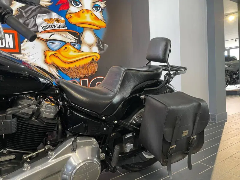 Harley-Davidson Softail Standard (2021 - 25) (6)