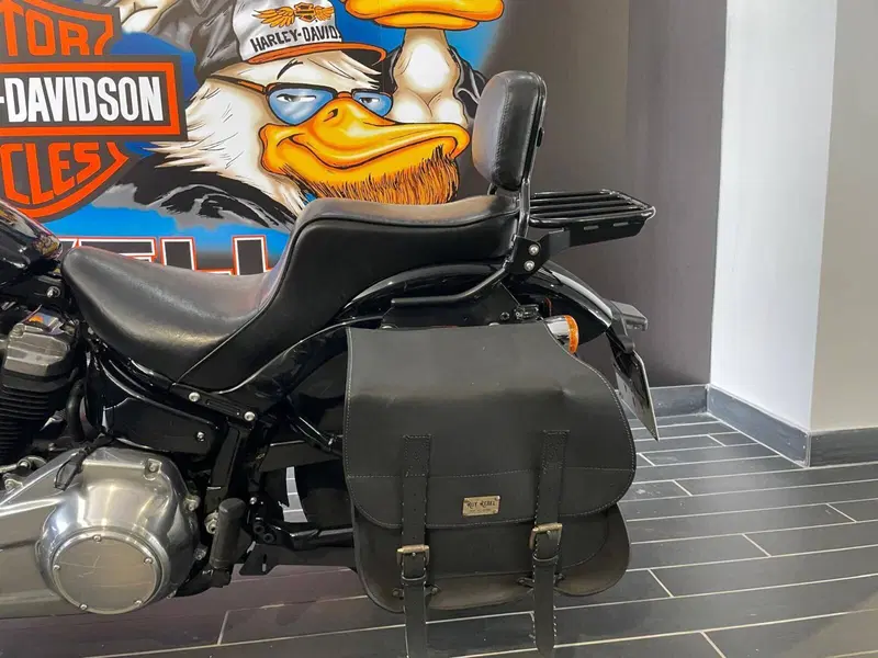 Harley-Davidson Softail Standard (2021 - 25) (7)
