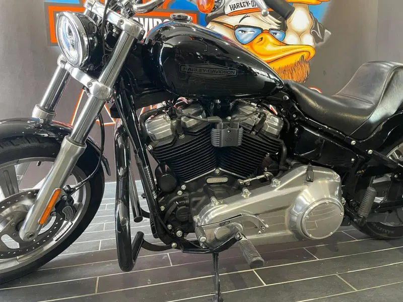 Harley-Davidson Softail Standard (2021 - 25) (8)