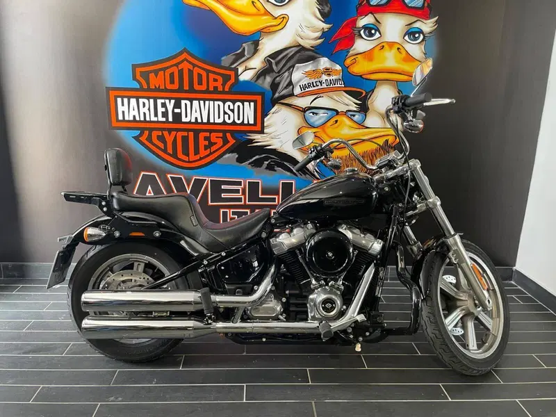 Harley-Davidson Softail Standard (2021 - 25) (9)