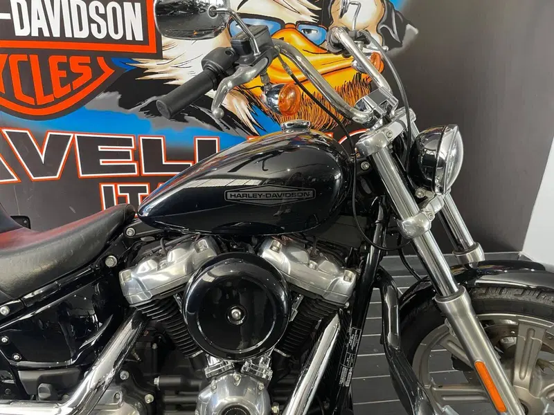 Harley-Davidson Softail Standard (2021 - 25) (10)
