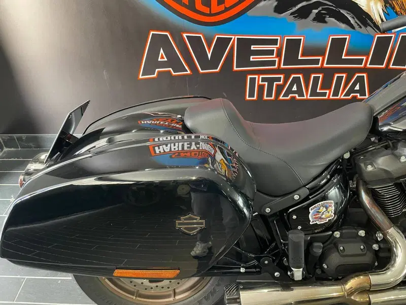 Harley-Davidson Low Rider ST (2022 - 24) (9)
