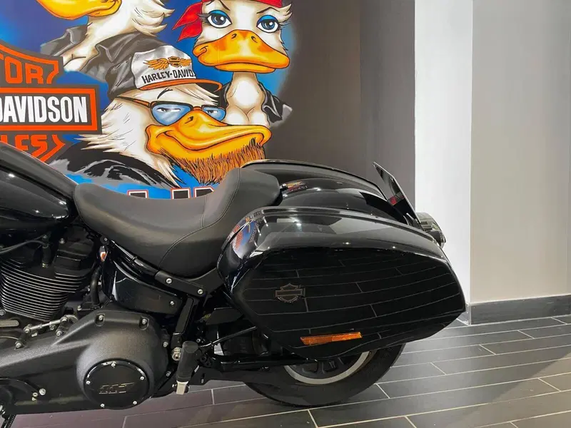 Harley-Davidson Low Rider ST (2022 - 24) (4)