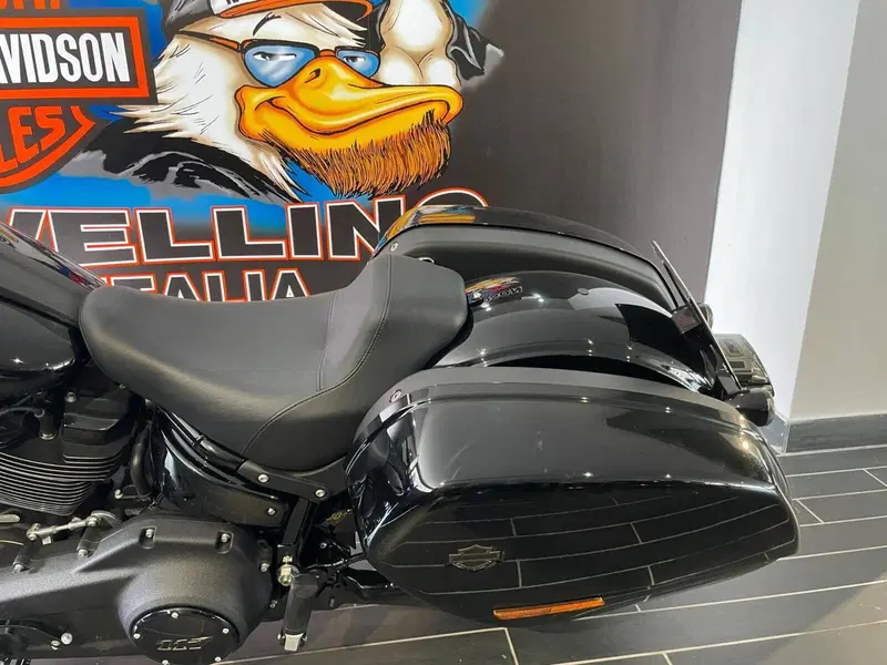 Harley-Davidson Low Rider ST (2022 - 24) (6)