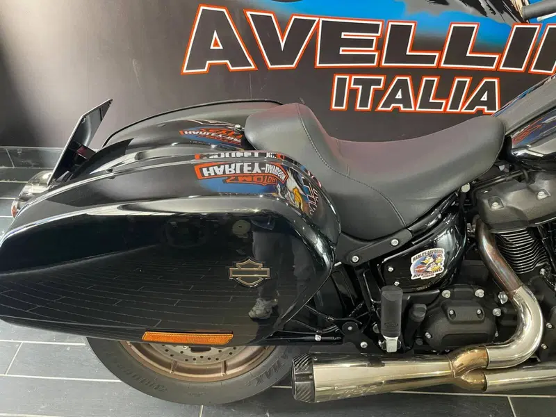 Harley-Davidson Low Rider ST (2022 - 24) (10)