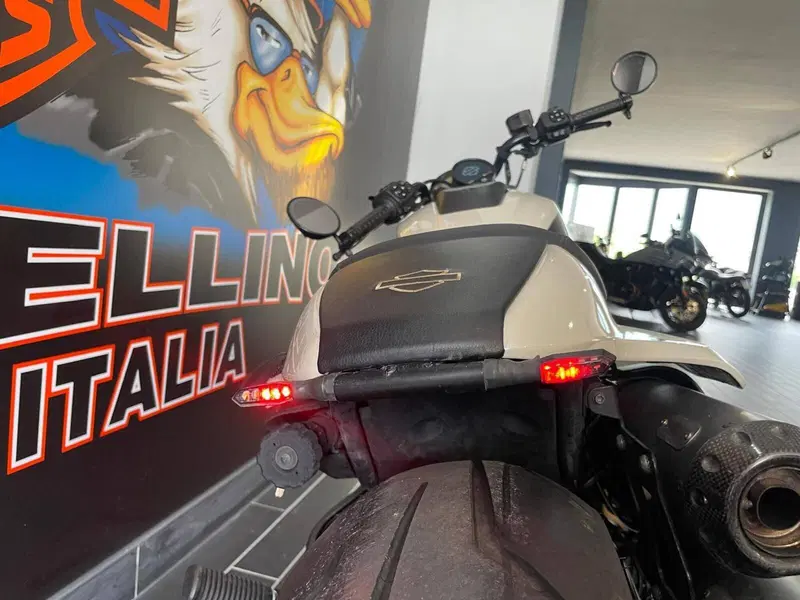 Harley-Davidson Sportster S (2022 - 24) (8)
