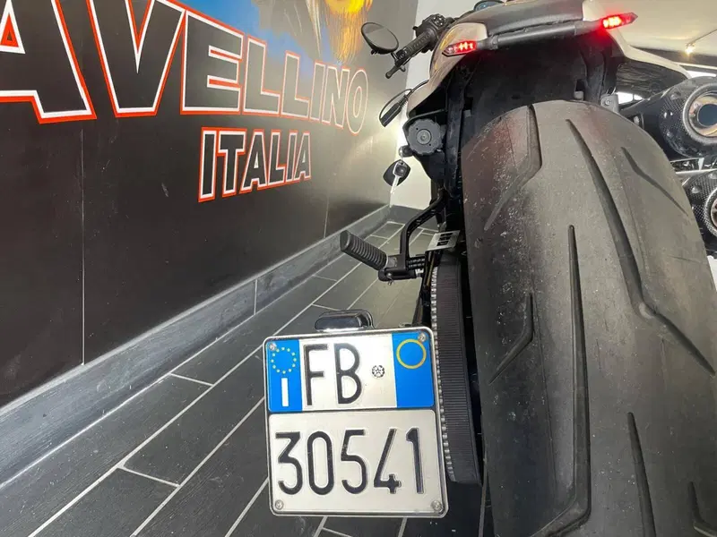 Harley-Davidson Sportster S (2022 - 24) (12)