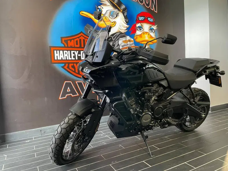 Harley-Davidson Pan America 1250 Special (2020 - 25) (3)