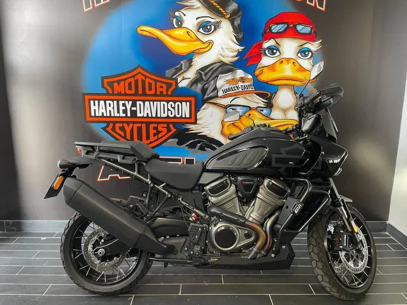 Harley-Davidson Pan America 1250 Special (2020 - 25)