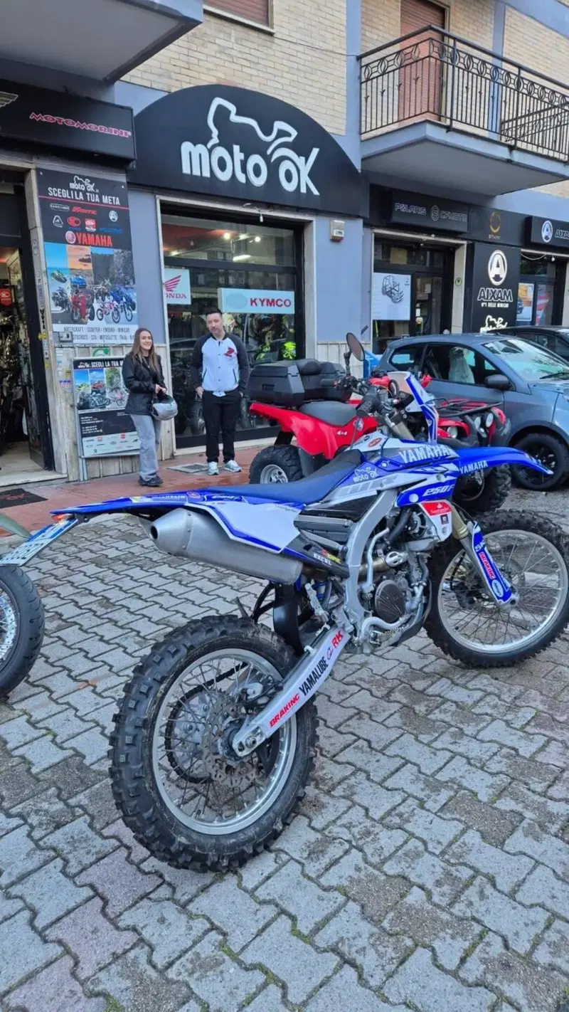 Yamaha WR 250 F (2015) (4)
