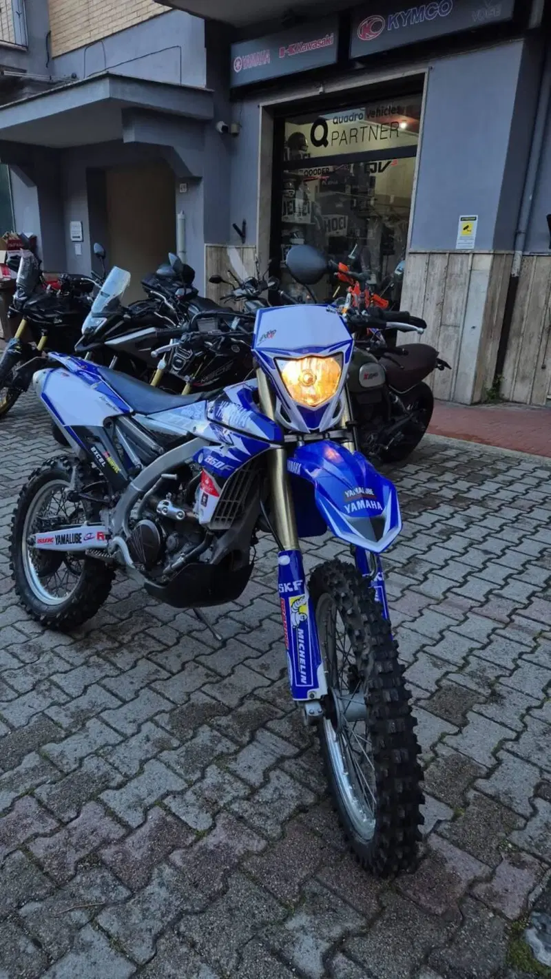 Yamaha WR 250 F (2015) (2)