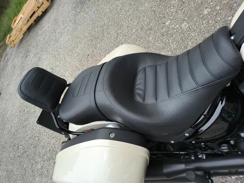 Harley-Davidson Low Rider ST (2022 - 24) (3)