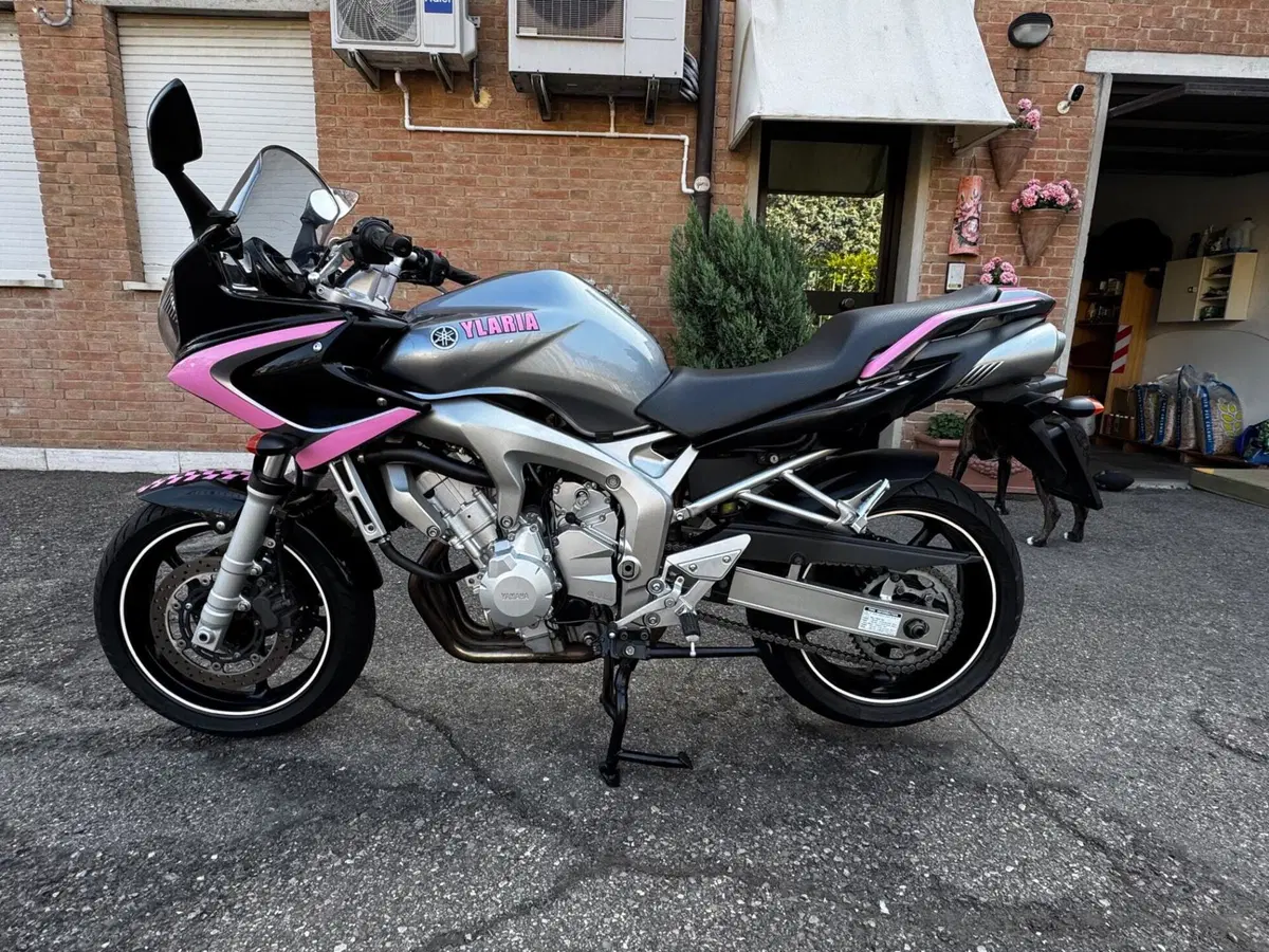 Yamaha FZ6 Fazer (2004 - 07)
