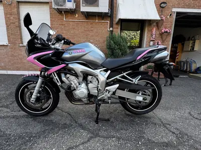 Yamaha FZ6 Fazer (2004 - 07) usata