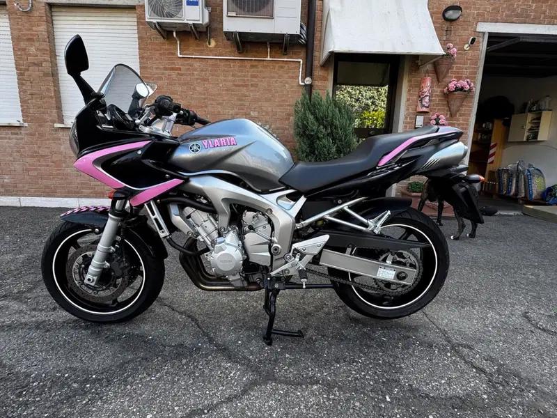 Yamaha FZ6 Fazer (2004 - 07)