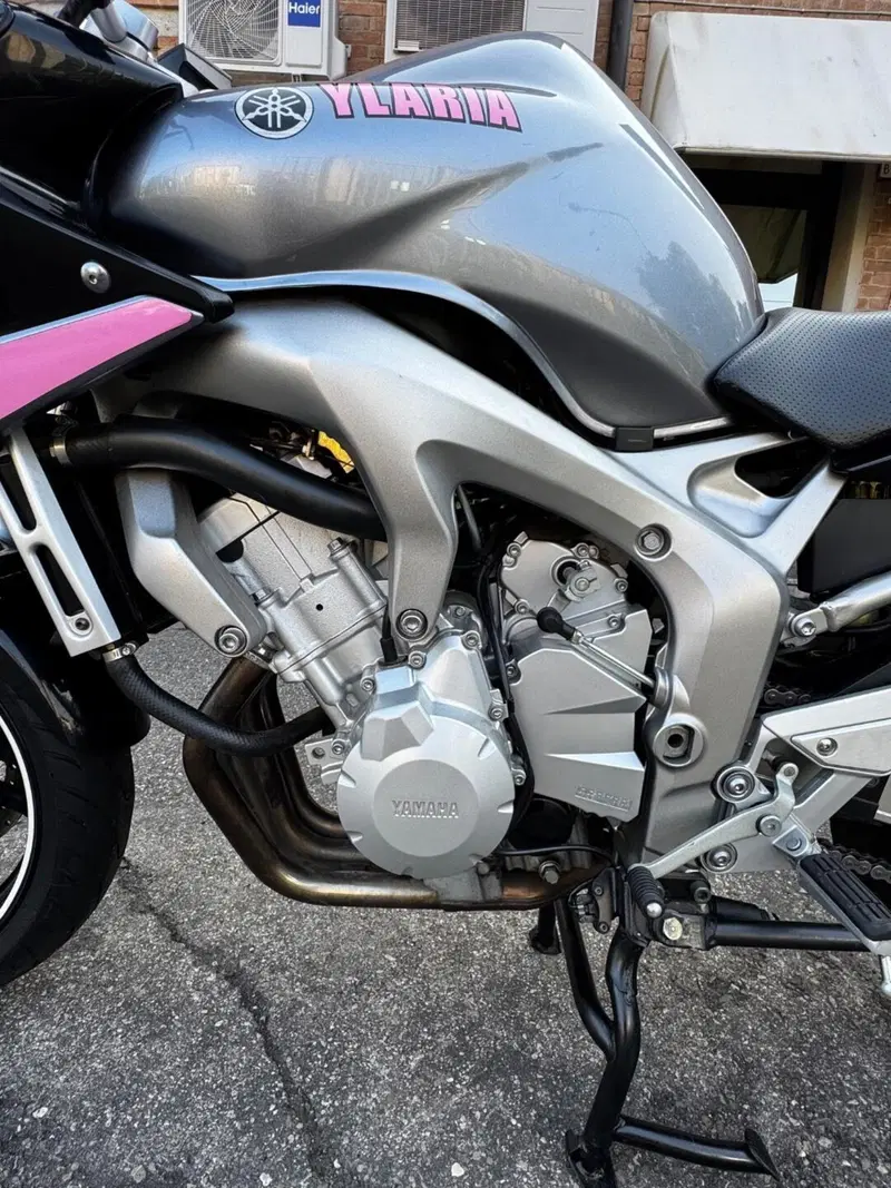 Yamaha FZ6 Fazer (2004 - 07) (3)