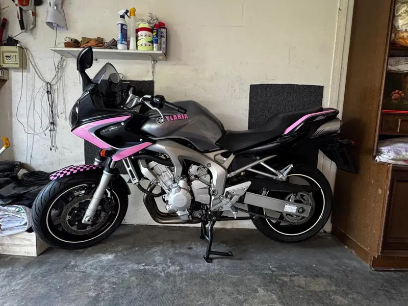 Yamaha FZ6 Fazer (2004 - 07) (10)
