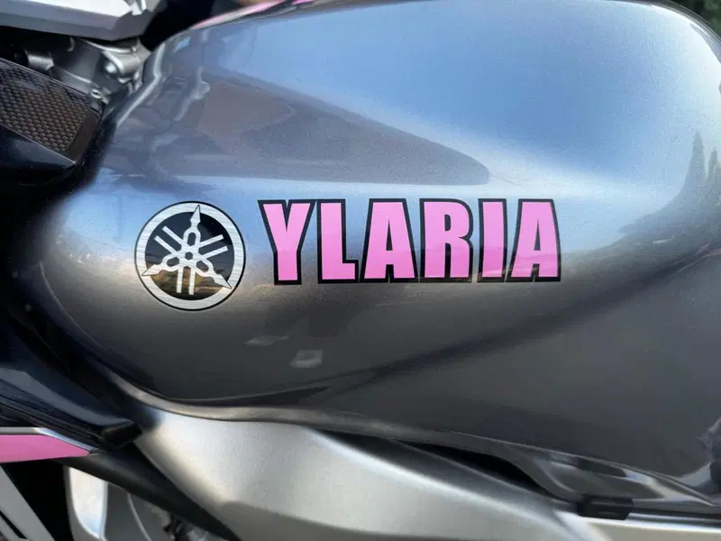 Yamaha FZ6 Fazer (2004 - 07) (13)