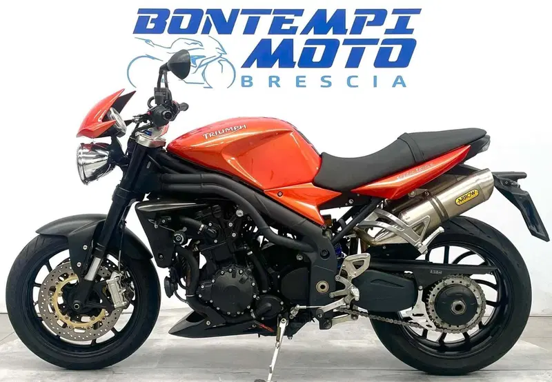 Triumph Speed Triple 1050 (2005 - 11) (2)