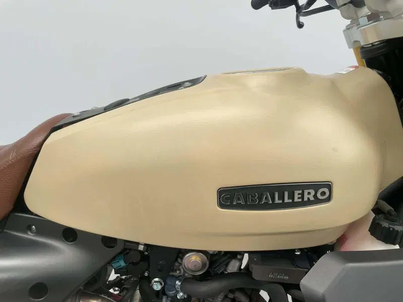 Fantic Motor Caballero 125 Rally (2022 - 23) (4)