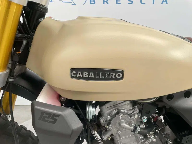 Fantic Motor Caballero 125 Rally (2022 - 23) (5)