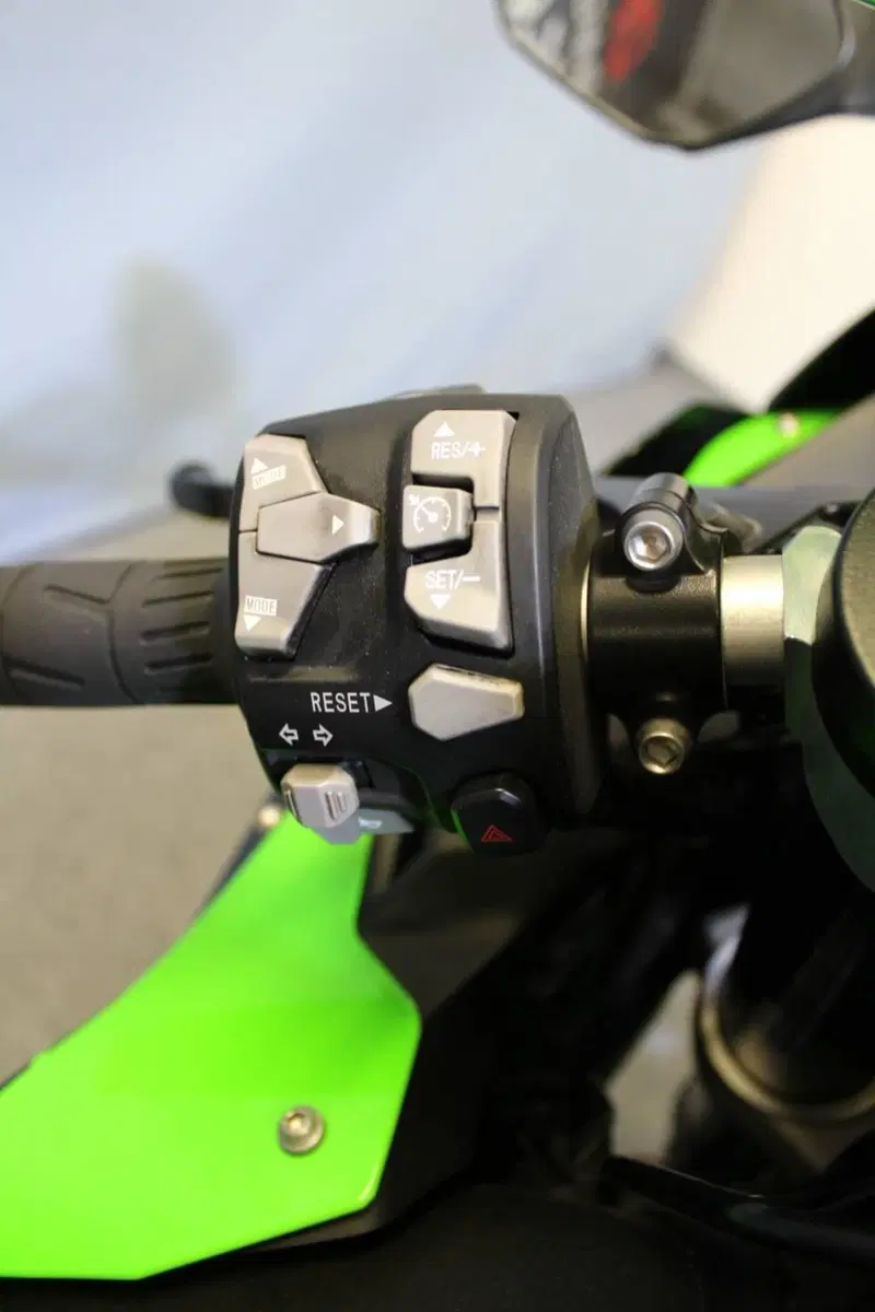 Kawasaki Ninja 1000 ZX-10R (2021 - 25) (10)