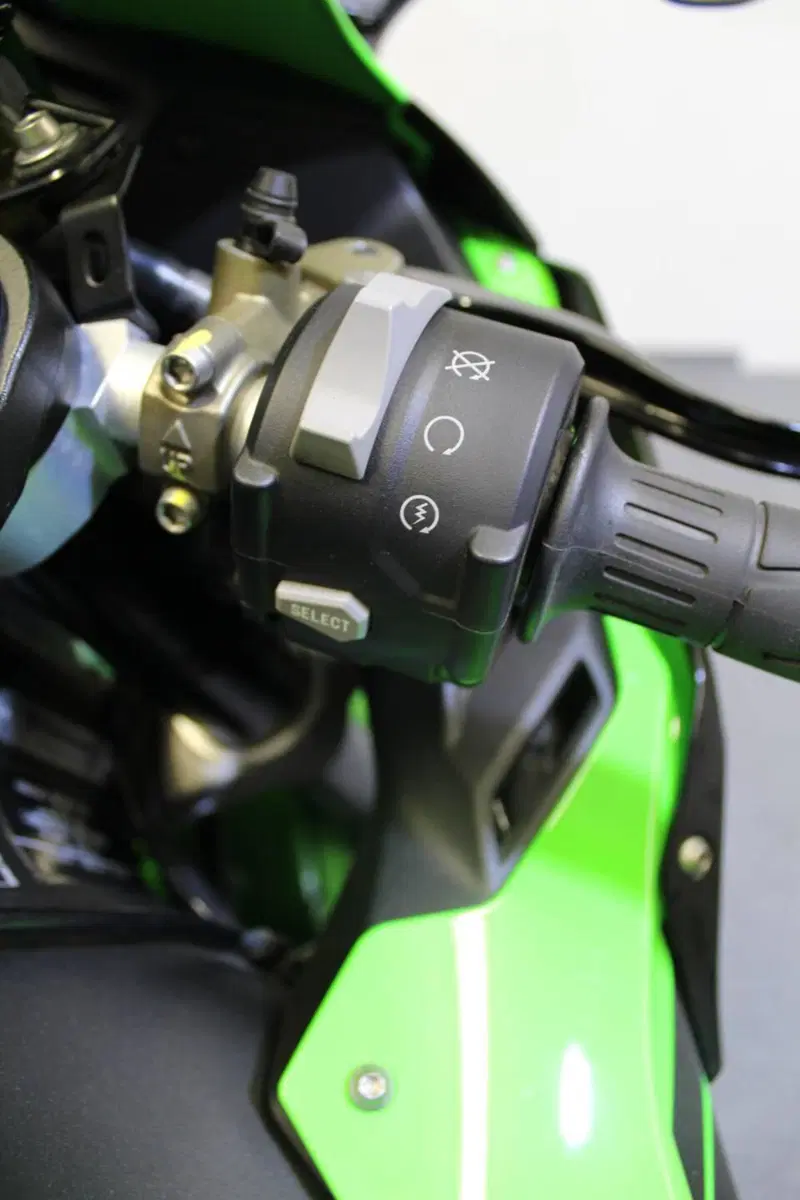 Kawasaki Ninja 1000 ZX-10R (2021 - 25) (11)