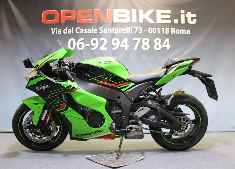 Kawasaki Ninja 1000 ZX-10R (2021 - 25) (2)