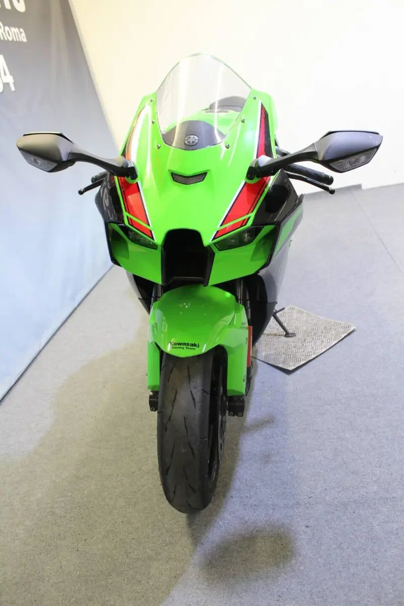 Kawasaki Ninja 1000 ZX-10R (2021 - 25) (13)
