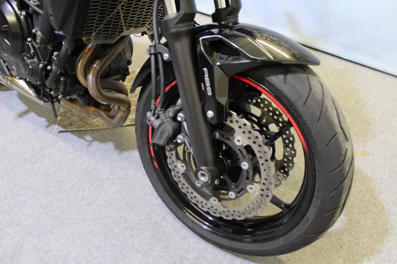 Kawasaki Z 650 (2021 - 24) (7)