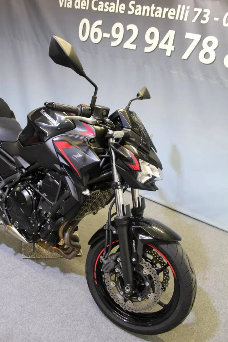 Kawasaki Z 650 (2021 - 24) (8)