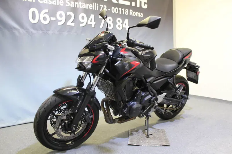 Kawasaki Z 650 (2021 - 24) (12)