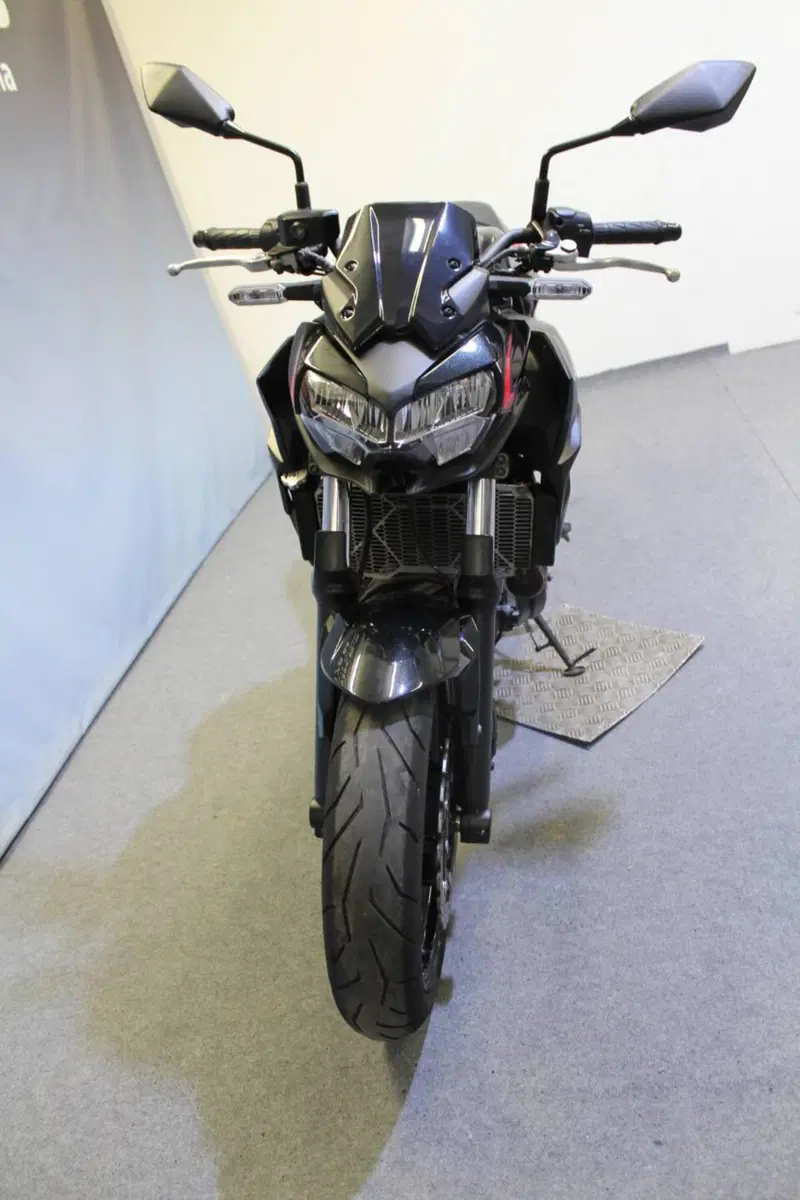 Kawasaki Z 650 (2021 - 24) (13)