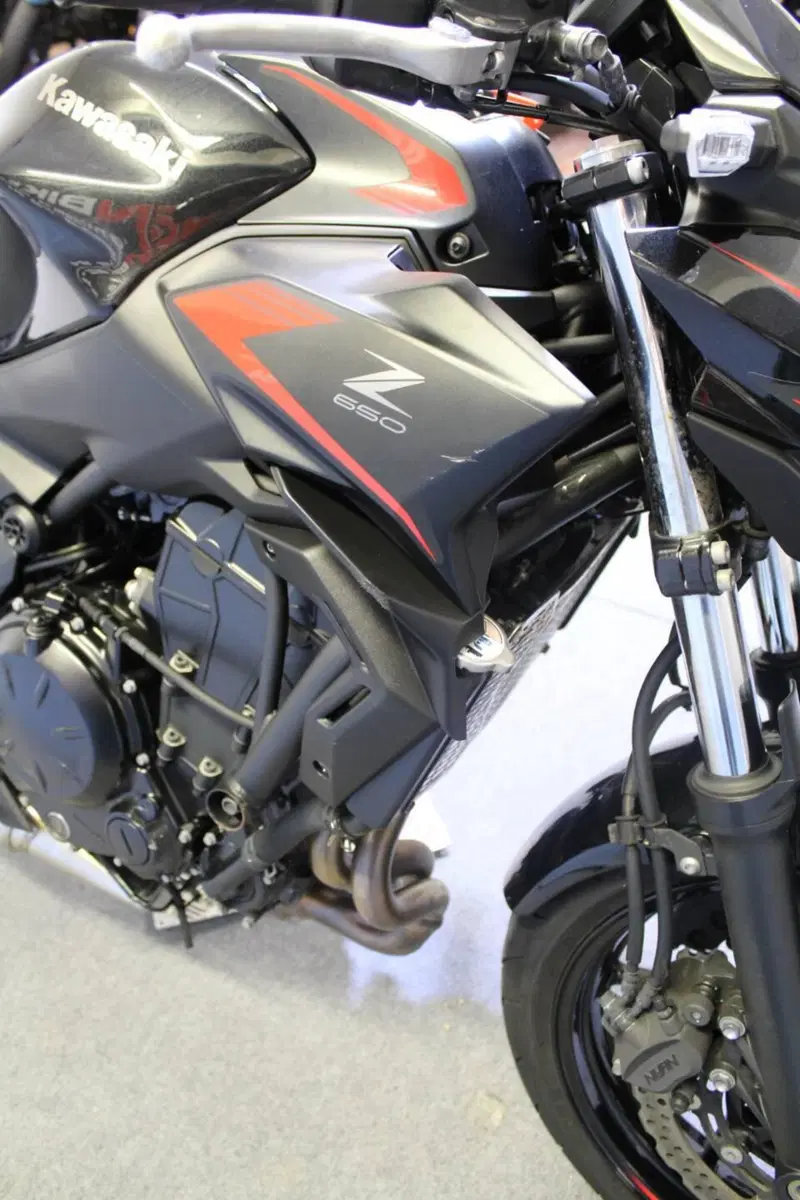 Kawasaki Z 650 (2021 - 24) (19)