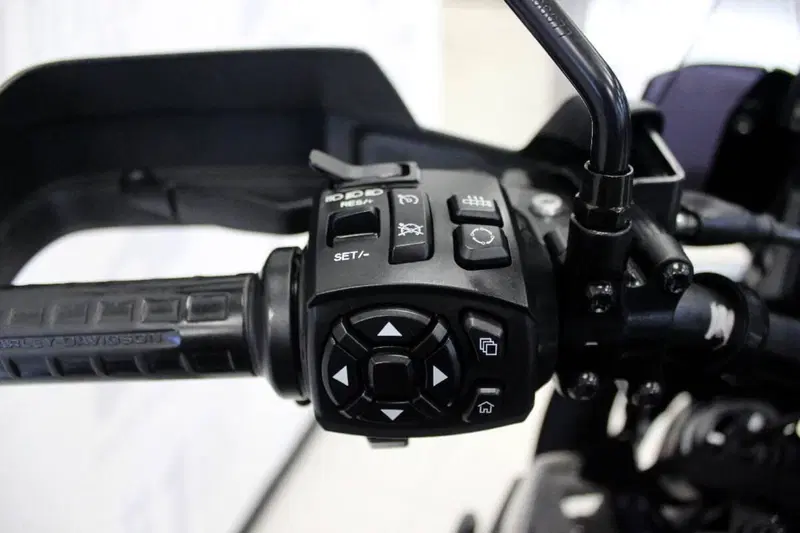 Harley-Davidson Pan America 1250 Special (2020 - 25) (7)