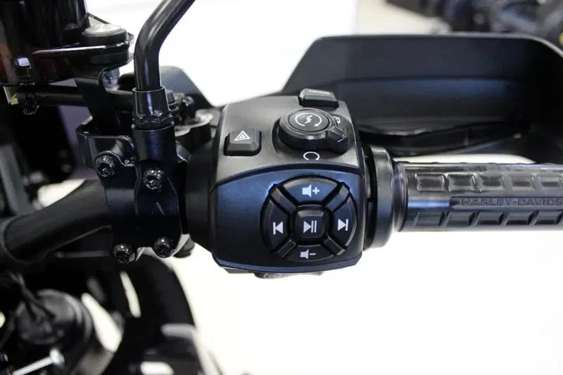 Harley-Davidson Pan America 1250 Special (2020 - 25) (8)
