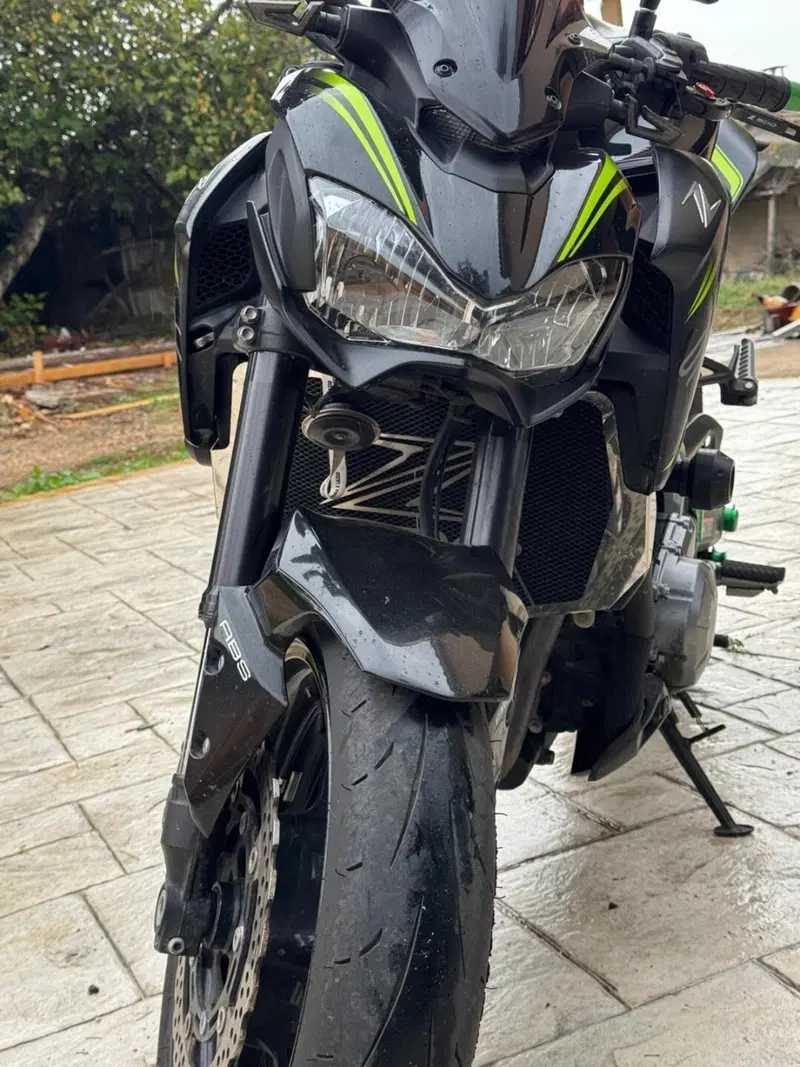 Kawasaki Z 900 (2017 - 18) (3)