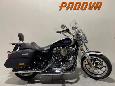 Harley-Davidson 1200 SuperLow (2014 - 16) - XL 1200T usata