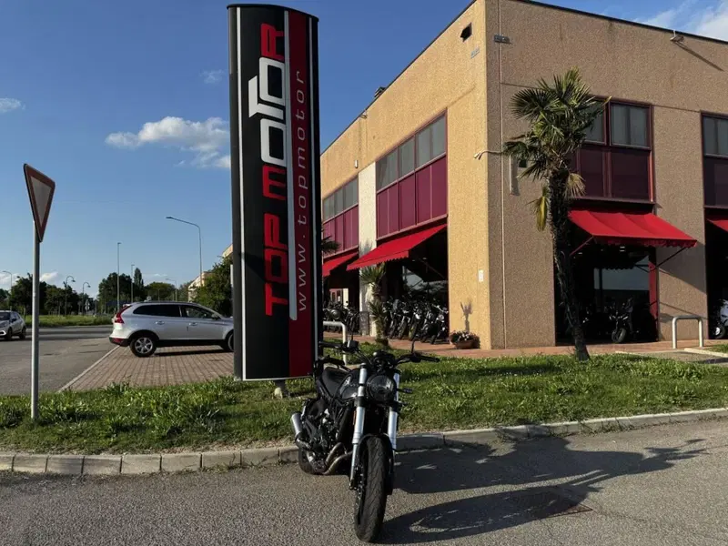 Benelli Leoncino 500 (2021 - 25) (6)