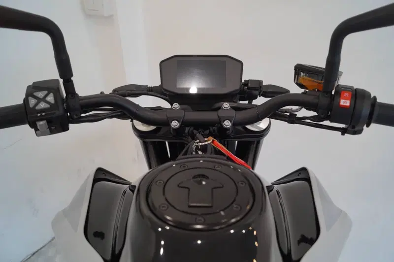 KTM 790 Duke L (2023 - 24) (10)