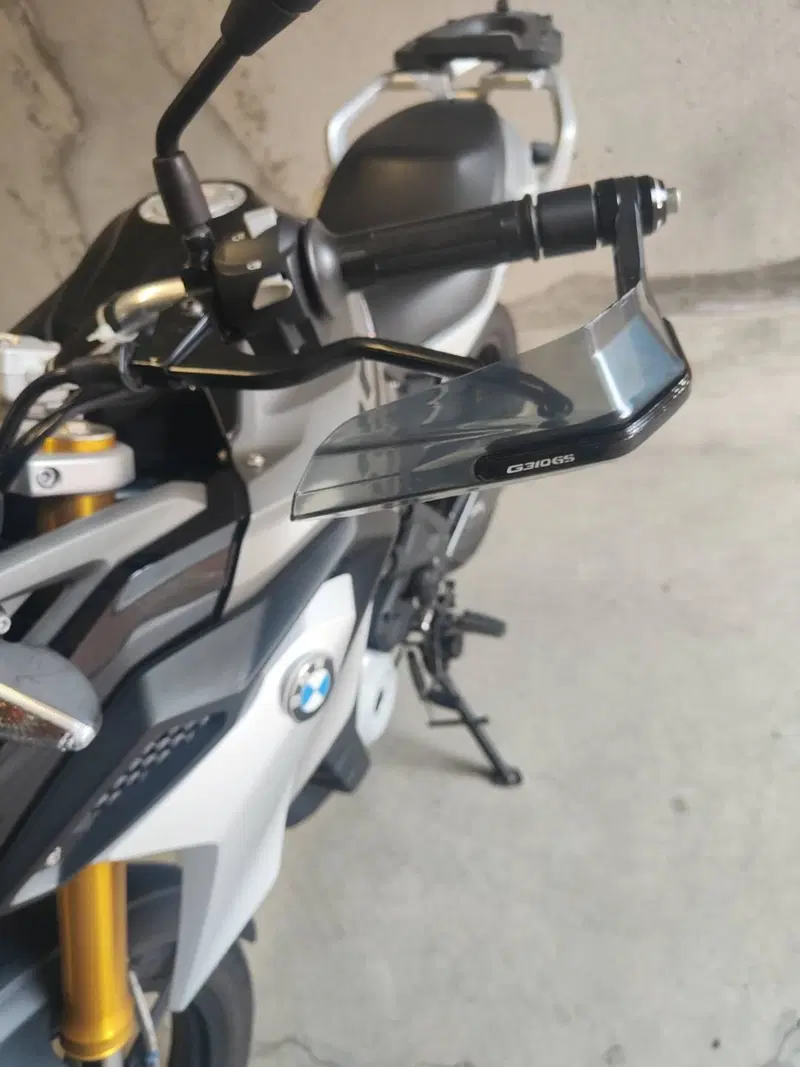 Bmw G 310 GS (2017 - 20) (5)