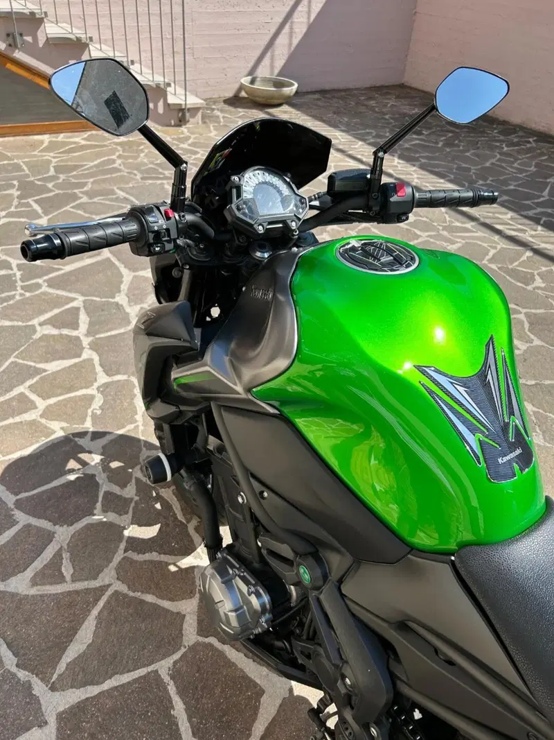 Kawasaki Z 900 Performance (2019) (2)