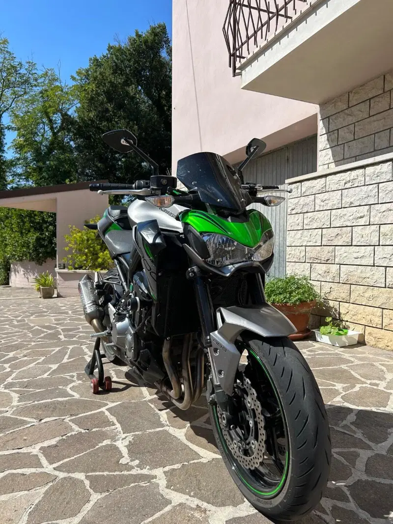 Kawasaki Z 900 Performance (2019) (4)