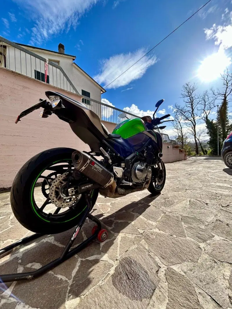 Kawasaki Z 900 Performance (2019) (5)