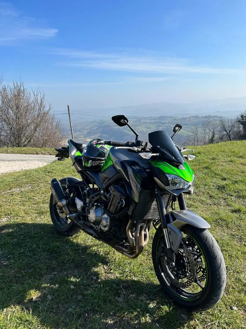 Kawasaki Z 900 Performance (2019) (6)