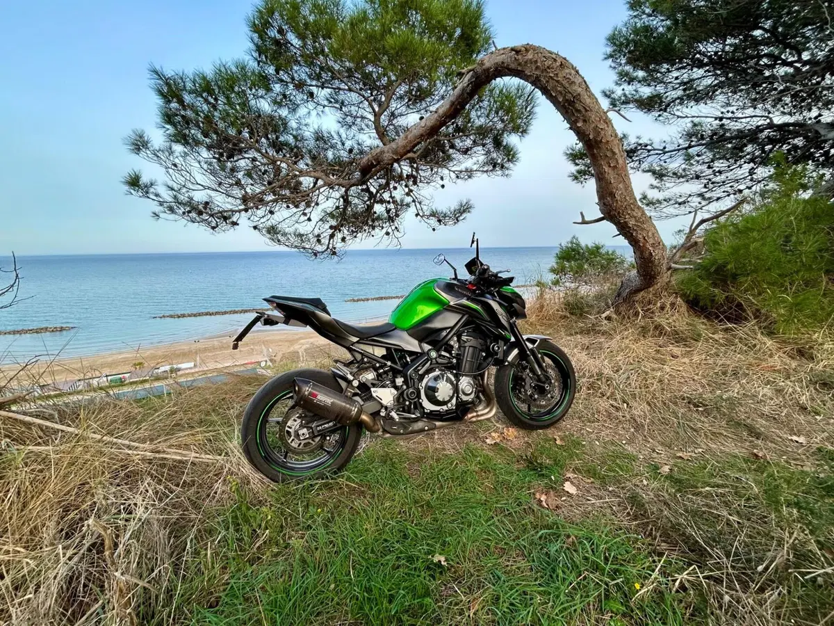 Kawasaki Z 900 Performance (2019) (7)