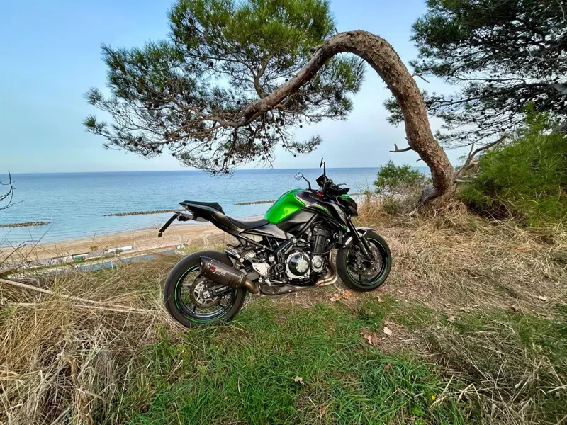 Kawasaki Z 900 Performance (2019) (7)