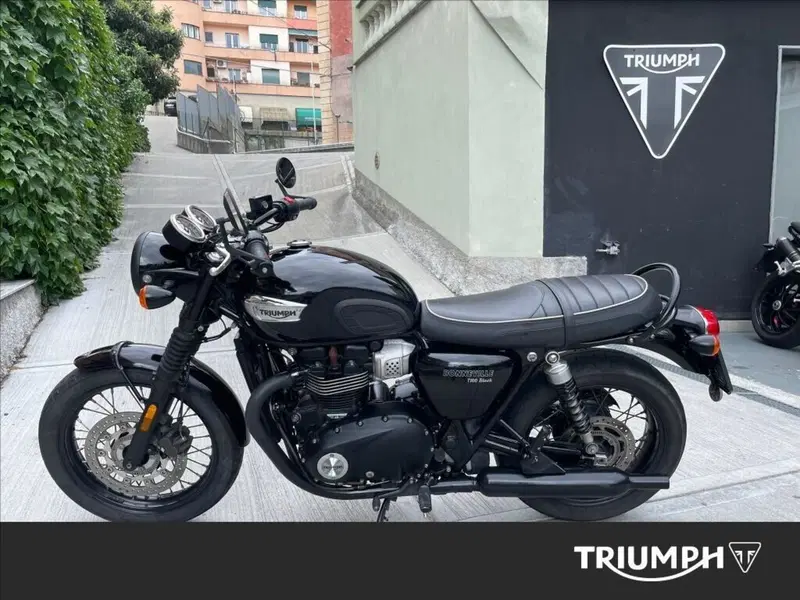 Triumph Bonneville T100 (2017 - 20) (2)
