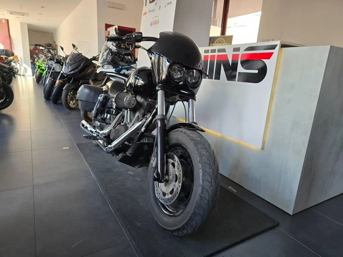 Harley-Davidson 1584 Fat Bob (2007 - 13) - FXDF (2)