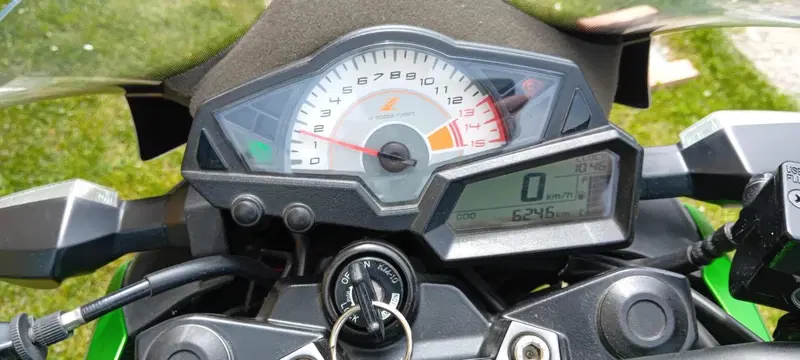Kawasaki Z 300 ABS (2015 - 16) (2)